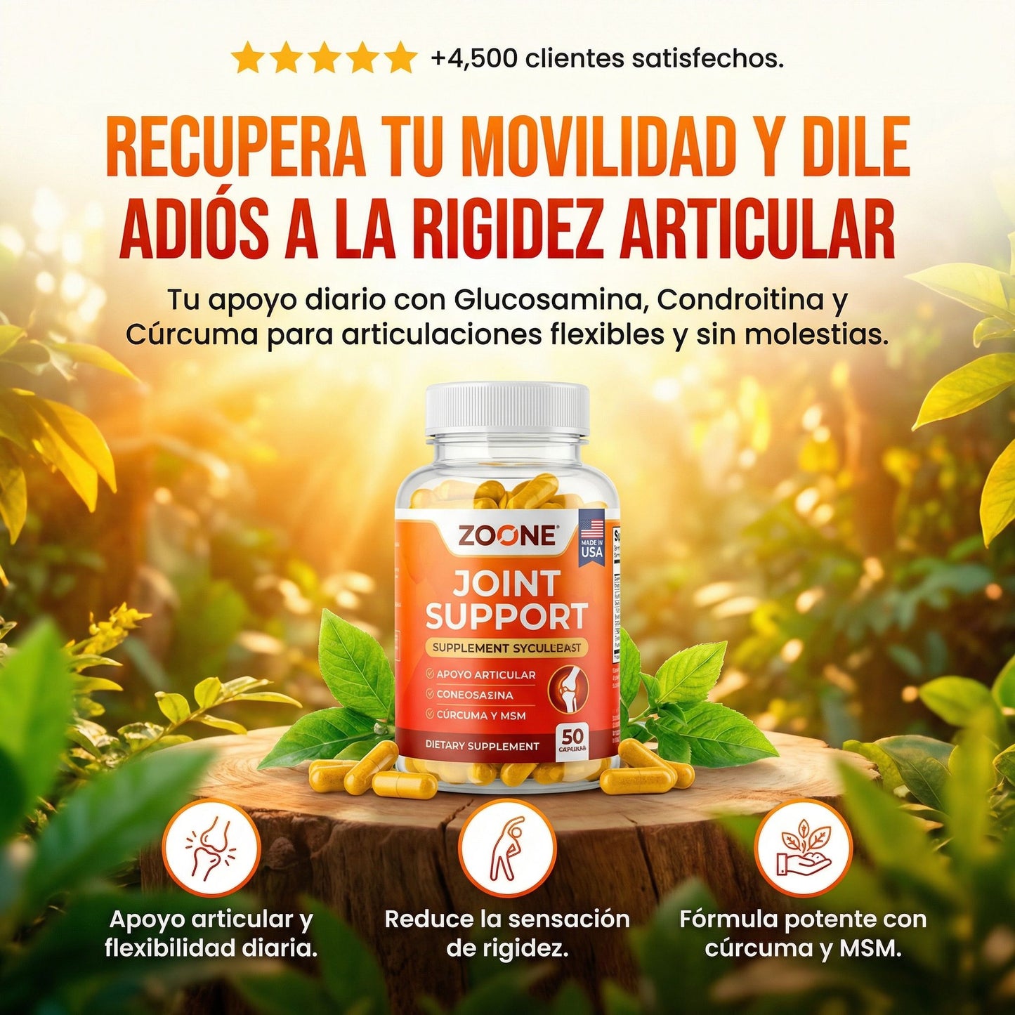 Joint Support - Muévete con más libertad cada día